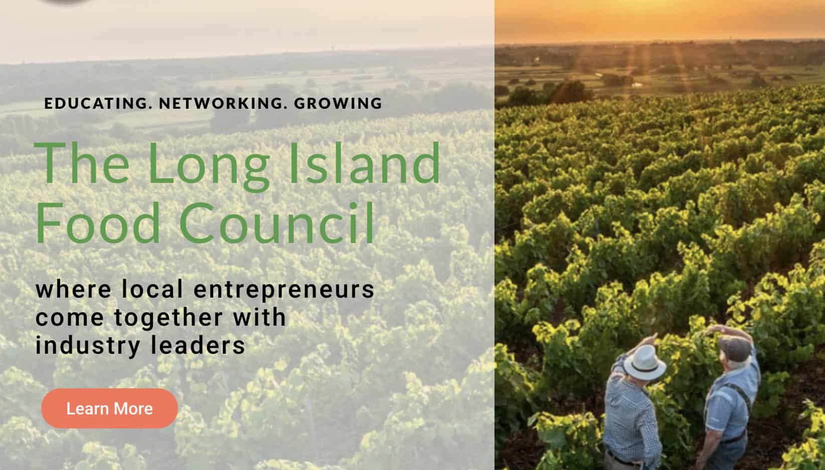 LIFC mobile slide vinyards